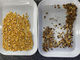 corn maize color sorter, rice color sorter, soybean color sorter, peanut color sorter supplier